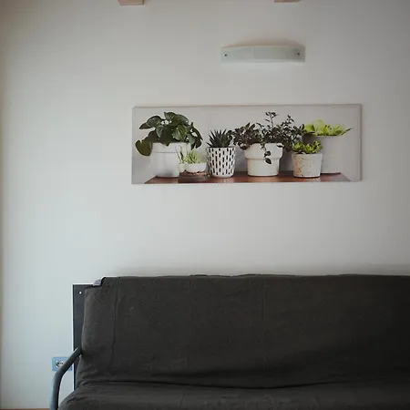 Mastervillage Family Μπιμπιόνε
